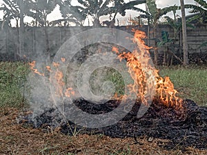 Indiscriminate burning near green plants has the potential to damage nature