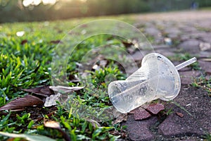 PVC cups litter on public park pose danger to environment