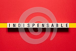Indispensable word concept on cubes photo