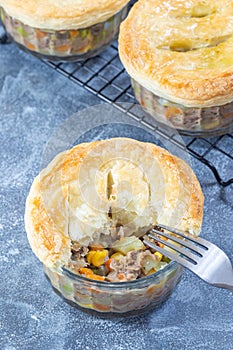 Individual beef pot pie or deep dish pie in ramekin, crust broken open to show the inside, vertical