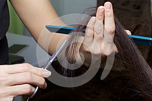 An individual entrepreneur, a hairdresser, at work. Female haircut. Work with scissors and a comb.