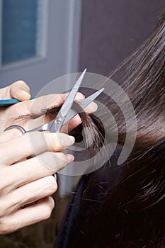 An individual entrepreneur, a hairdresser, at work. Female haircut. Work with scissors and a comb.