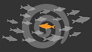 Individual fish illustration. Unique and creative design. Individuality of fish against other. Motivation to be creative