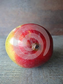 Individual Mango against a Colorful Background