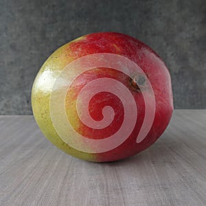 Individual Mango against a Colorful Background