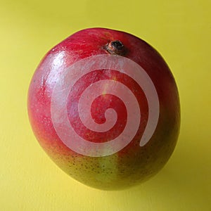 Individual Mango against a Colorful Background