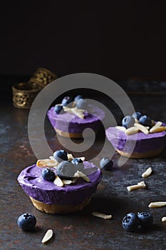 Individual mini blueberry cheesecakes