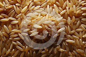 Individual rice grains artfully scattered across a tables surface