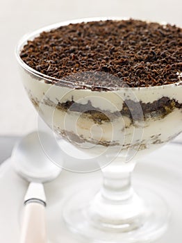 Individual Tiramisu