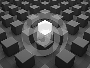 Individuality concept