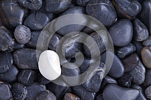 Individuality concept