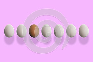the individuality concept, a single unique egg among the usual ones, difference idea