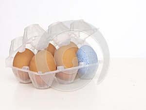 Individuality, uniqueness, difference or diversity concept. One beautiful blue egg in plastic eggbox with normal brown