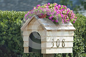 Blooming Mail Box, handmade wooden mailbox with flowering petunias photo