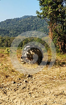 Indo bhutan boarder landmark stone