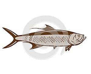 Indo-Pacific Tarpon or Oxeye Herring Side Retro Woodcut Style