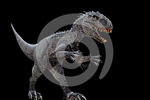 Indominus rex isolated  on black background