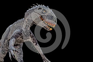 Indominus rex isolated  on black background