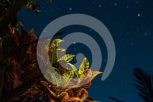 Indonesia, Bali Night Experience