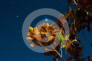 Indonesia, Bali Night Experience