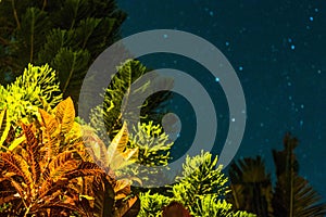 Indonesia, Bali Night Experience