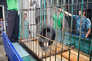 INDONESIA ENVIRONMENTAL ISSUES