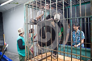 INDONESIA ENVIRONMENTAL ISSUES