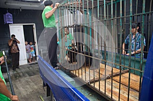 INDONESIA ENVIRONMENTAL ISSUES