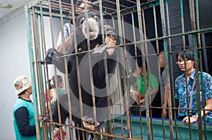 INDONESIA ENVIRONMENTAL ISSUES