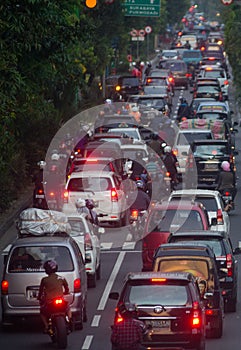 INDONESIA ENVIRONMENTAL ISSUES