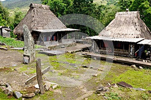 Indonesia, Flores, Bena village