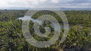 Indonesia small River in Pangandaran west java indonesia beautiful view from drone