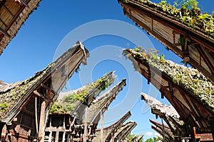 Indonesia, Sulawesi, Tana Toraja