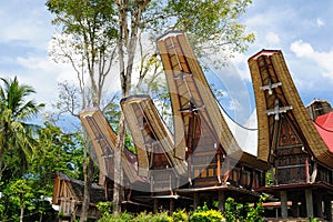 Indonesia, Sulawesi, Tana Toraja, Traditional village