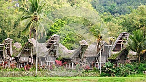 Indonesia, Sulawesi, Tana Toraja, Traditional village photo