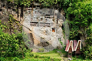 Indonesia, Tana Toraja, Ancient tomb photo
