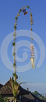 Indonesia - Top of Penjor is seen in preparation for Galungan Day in Bali