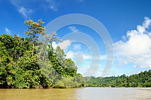 Indonesia - Tropical jungle on the river, Borneo