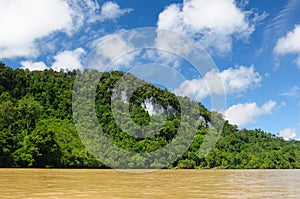 Indonesia - Tropical jungle on the river, Borneo