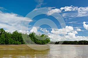 Indonesia - Tropical jungle on the river, Borneo