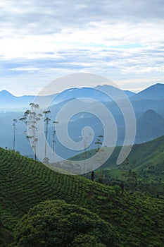 java mountains