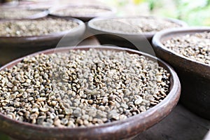 Indonesian Coffee Beans