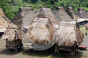 Indonesian country side