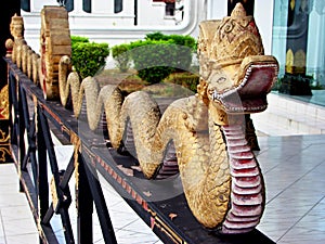 Indonesian gold snake in Sultan Royal Palace