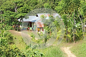 Indonesian house in forest