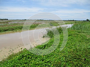 Indonesian nature when the weather is clear  decorated with blue skies and white clouds