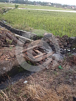 Indonesian rice fields 2