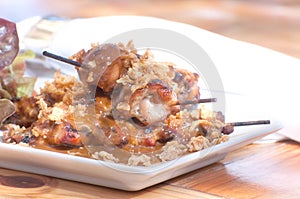 Indonesian Satay or Sate