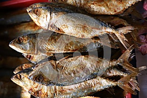 Indonesian traditional food named "ikan peda" i.e. dried salted chub mackerels fish