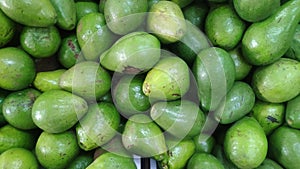 Indonesian tropical Green Avocadoes